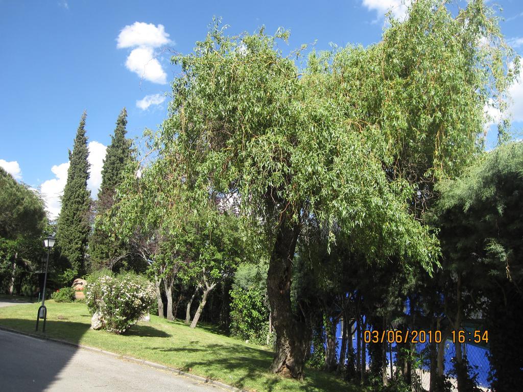 נאבאסראדה Hotel Rural Spa & Wellness Hacienda Los Robles מראה חיצוני תמונה